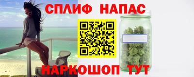 прущие грибы Будённовск